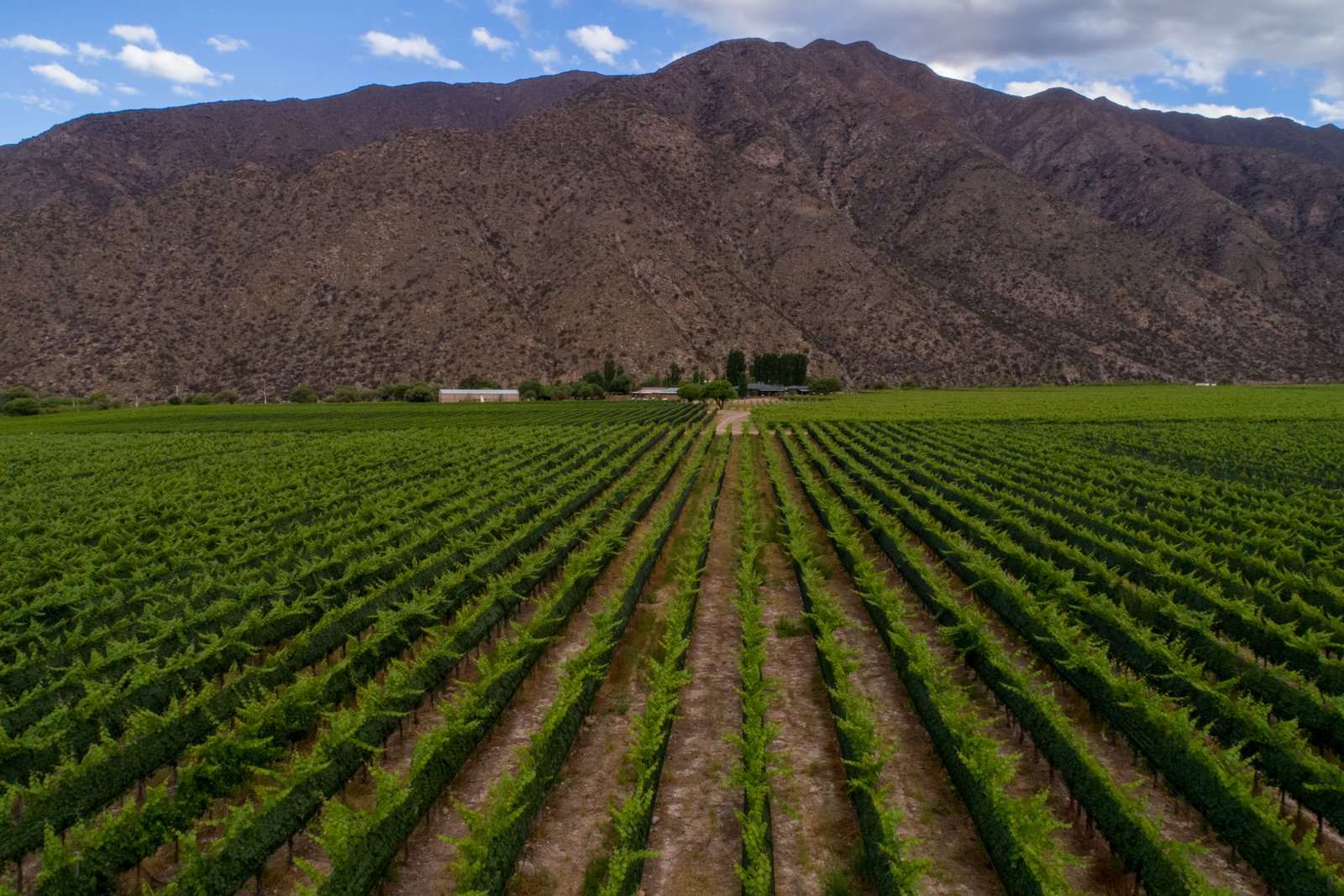 Mendoza experiencia