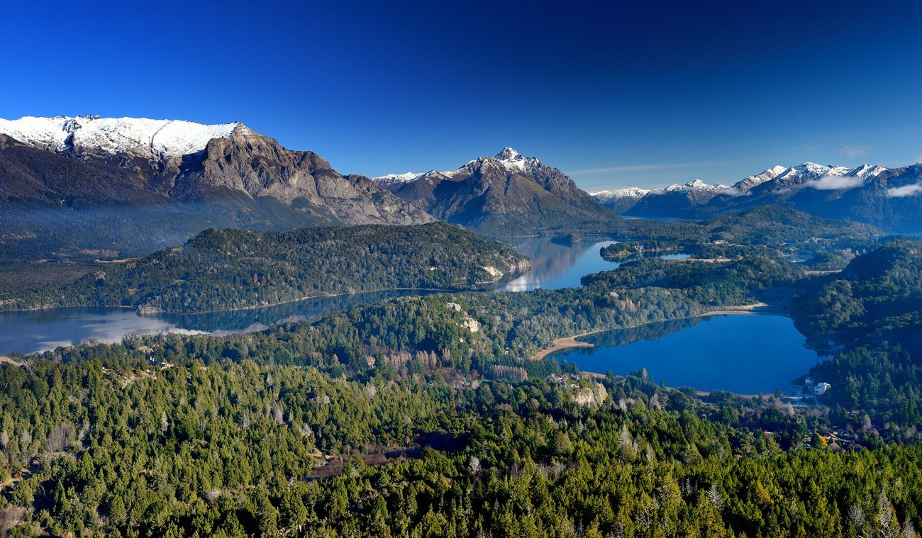 Patagonia vinos